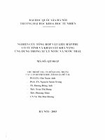 Nghiên cứu tổng hợp vật liệu hấp phụ có từ tính và khảo sát khả năng ứng dụng trong xử lý nước và nước thải 