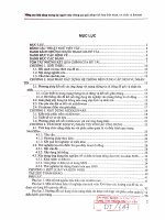 Giải pháp nâng cao khả năng tương tác người máy thông qua tích hợp các môi trường điện thoại nhắn tin và internet 