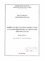 Nghiên cứu đứt gãy sông chanh   cát bà và vai trò hình thành các thung lũng trên đảo cát bà 