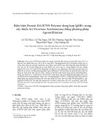 Biểu hiện protein HA h7n9 polymer dung hợp IgMFc trong cây thuốc lá nicotiana benthamiana bằng phương pháp agroinfiltration 