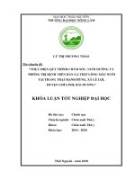 Thực hiện quy trình chăm sóc, nuôi dưỡng và phòng trị bệnh trên đàn gà thịt lông màu nuôi tại trang trại mạnh hùng, xã lê lợi, huyện chí linh, tỉnh hải dương 