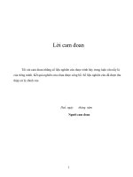 LUẬN VĂN ĐẠI HỌC HOÀN CHỈNH (Y DƯỢC) khảo sát tình hình sử dụng thức uống có chứa cồn ở công nhân nhà máy sản xuất xi măng long thọ, tỉnh thừa thiên huế