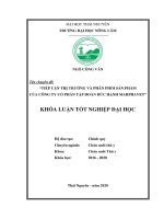 Tiếp cận thị trường và phân phối sản phẩm của công ty cổ phần tập đoàn đức hạnh marphavet 