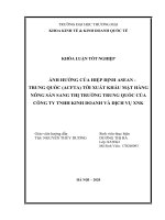 Ảnh hưởng của hiệp định ASEAN – trung quốc (ACFTA) tới xuất khẩu mặt hàng nông sản sang thị trường trung quốc của công ty TNHH kinh doanh và dịch vụ XNK