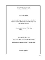 Hoàn thiện hoạt động cho vay tiêu dùng tại Ngân hàng tmcp Ngoại thương Việt Nam  Chi nhánh Đà Nẵng