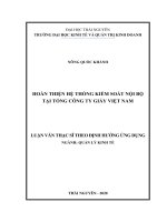 (Luận văn thạc sĩ) Hoàn thiện hệ thống kiểm soát nội bộ tại Tổng Công ty giấy Việt Nam