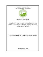 (Luận văn thạc sĩ) Nghiên cứu một số biện pháp kỹ thuật cho giống cam không hạt V2 tại huyện Hàm Yên, tỉnh Tuyên Quang