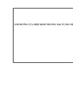 Ảnh hưởng của Hiệp định thương mại tự do Việt Nam – Hàn Quốc (VKFTA) tới hoạt động nhập khẩu mặt hàng mỹ phẩm từ thị trường Hàn Quốc của công ty TNHH Thương mại và Nhập khẩu Hòa Bình Group