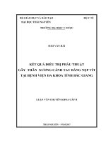 Kết quả điều trị phẫu thuật gãy thân xương cánh tay bằng nẹp vít tại bệnh viện đa khoa tỉnh bắc giang 