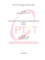 Ứng dụng đa phương tiện trong kinh doanh