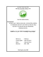 Áp dụng quy trình chăm sóc nuôi dưỡng, phòng và trị bệnh cho đàn lợn nuôi tại trại nguyễn văn khanh, huyện thanh hà, tỉnh hải dương 