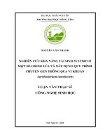 (Luận văn thạc sĩ) Nghiên cứu khả năng tái sinh in vitro ở một số giống lúa và xây dựng quy trình chuyển gen thông qua vi khuẩn Agrobacterium tumefaciens