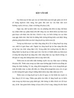 LUẬN VĂN ĐẠI HỌC HOÀN CHỈNH (Y DƯỢC) đánh giá về tăng huyết áp và thiếu máu ở bệnh nhân suy thận mạn tại bệnh viện trung ương huế