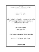 Đánh giá kết quả phẫu thuật u não nguyên bào thần kinh đệm ác tính glioblastoma tại bệnh viện việt đức 