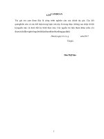 (Luận văn thạc sĩ) Nghiên cứu ứng dụng mô hình toán mô phỏng các quá trình thủy động lực vùng ven biển cửa sông Nhật Lệ, tỉnh Quảng Bình