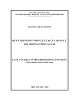 (Luận văn thạc sĩ) Quản trị nguồn nhân lực tại Cục Quản lý thị trường tỉnh Lào Cai