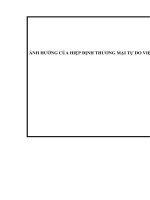 Ảnh hưởng của Hiệp định thương mại tự do Việt Nam – Hàn Quốc (VKFTA) tới hoạt động nhập khẩu mặt hàng mỹ phẩm của công ty TNHH Thương mại và Nhập khẩu Hòa Bình Group