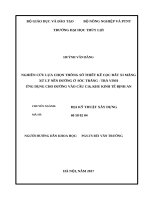 (Luận văn thạc sĩ) Nghiên cứu lựa chọn thông số thiết kế cọc đất xi măng xử lý nền đường ở Sóc Trăng – Trà Vinh, ứng dụng cho đường vào cầu C16, khu kinh tế Định An