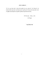 (Luận văn thạc sĩ) Một số giải pháp nâng cao chất lượng thiết kế xây dựng công trình tại công ty cổ phần tư vấn xây dựng và kinh doanh tổng hợp Nguyễn Gia