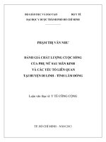đánh giá chất lượng cuộc sống của phụ nữ sau mãn kinh và các yếu tố liên quan tại huyện di linh   tỉnh lâm đồng 