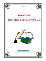 Giáo trình Hình thái giải phẫu thực vật