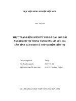 Thực trạng bệnh viêm tử cung ở đàn lợn nái ngoại nuôi tại trung tâm giống gia súc, gia cầm tỉnh nam định và thử nghiệm điều trị   