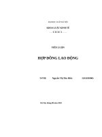 Tiểu luận Hợp đồng lao động