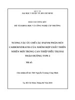 tương tác ức chế các enzym phân hủy carbohydrates của nhóm hợp chất thiên nhiên mới trong can thiệp điều trị đái tháo đường type 2 