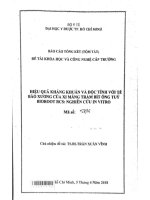 hiệu quả kháng khuẩn và độc tính với tế bào xƣơng của xi măng trám bít ống tủy bioroottm rcs nghiên cứu in vitro” 