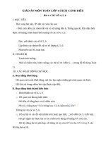 giao an mon toan lop 1 sach canh dieu bai 4 cac so 4 5 6 2319