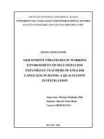 Chiến lược thích nghi văn hóa trong môi trường làm việc của giáo viên tiếng anh ngoại quốc tại hà nội việt nam một nghiên cứu định tính 
