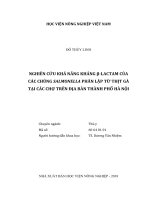 Nghiên cứu khả năng kháng ß lactam của các chủng salmonelia phân lập từ thịt gà tại các chợ trên địa bàn thành phố hà nội   