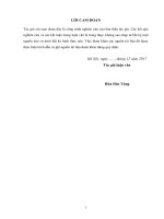 Một số giải pháp phát triển nguồn nhân lực của chi cục quản lý thị trường tỉnh lạng sơn 