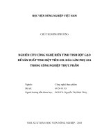 Nghiên cứu công nghệ biến tính tinh bột gạo để sản xuất tinh bột tiền gel hóa làm phụ gia trong công nghiệp thực phẩm   