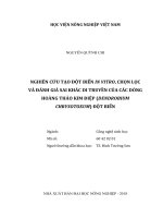 Nghiên cứu tạo đột biến in vitro, chọn lọc và đánh giá sai khác di truyền của các dòng hoàng thảo kim điệp (dendrobium chrysotoxum) đột biến   
