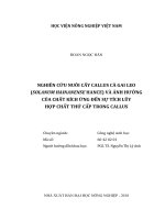 Nghiên cứu nuôi cấy callus cà gai leo (solanum hainanense hance) và ảnh hưởng của chất kích ứng đến sự tích lũy hợp chất thứ cấp trong callus   