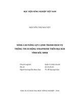 Nâng cao năng lực cạnh tranh dịch vụ thông tin di động vinaphone trên địa bàn tỉnh bắc ninh   
