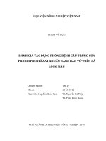 Đánh giá tác dụng phòng bệnh cầu trùng của probiotic chứa vi khuẩn dạng bào tử trên gà lông màu   