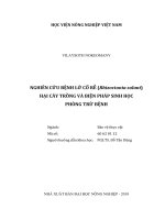 Nghiên cứu bệnh lở cổ rễ (rhizoctonia solani) hại cây trồng và biện pháp sinh học phòng trừ bệnh   