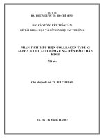 phân tích biểu hiện colllagen type xi alpha (col11a1) trong u nguyên bào thần kinh 