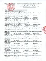 Đề minh họa thi tốt nghiệp THPT môn Địa lý năm 2020