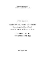 Nghiên cứu nhân giống cây sói rừng (sarcandra glabra (thunb ) nakai) bằng kỹ thuật nuôi cấy in vitro 