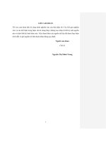 Nghiên cứu giải pháp công trình đập dâng điều tiết phân lưu dòng chảy sông hồng sông đuống nhằm ứng phó tình trạng hạ thấp mực nước trên sông hồng về mùa kiệt 