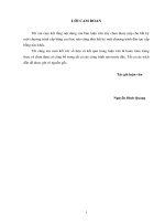 Nghiên cứu xác định các thông số thiết kế cho công trình bảo vệ bờ và khu neo trú tàu thuyền trên đảo phú quý 