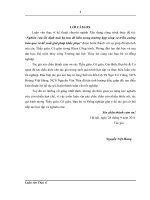 Nghiên cứu ổn định mái hạ lưu đê biển trong trường hợp sóng tràn qua và giải pháp khắc phục 