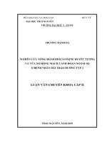 Nghiên cứu nồng độ homocysteine huyết tương và vữa xơ động mạch cảnh đoạn ngoài sọ ở bệnh nhân đái tháo đường týp 2