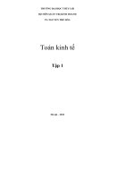 Bài giảng toán kinh tế 