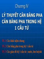 LÝ THUYẾT CÂN BẰNG PHA CÂN BẰNG PHA TRONG HỆ 1 CẤU TỬ (HÓA LÝ SLIDE CHƯƠNG 4) (chữ biến dạng do slide dùng font VNI times, tải về xem bình thường)