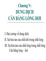DUNG DỊCH CÂN BẰNG LỎNG HƠI (HÓA LÝ SLIDE CHƯƠNG 5) (chữ biến dạng do slide dùng font VNI times, tải về xem bình thường)