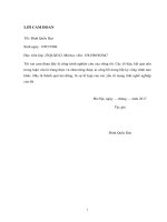 Nghiên cứu cửa van phao chữ nhân có cửa điều tiết phái trên ứng dụng cho các cửa sông ven biển 